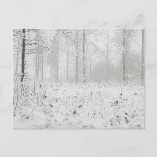 Cartes Pour Fêtes Annuelles Paysage forestier d'hiver avec des arbres d'hiver  (Devant)