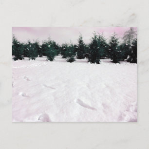 Cartes Pour Fêtes Annuelles Paysage hivernal avec des larches dans la neige
