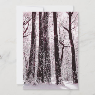 Cartes Pour Fêtes Annuelles PAYSAGE Hivernal enneigé des BOIS de la FORÊT