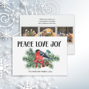 Cartes Pour Fêtes Annuelles Peace Love Joie Noël Vacances Robin Pine Branch