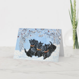 Cartes Pour Fêtes Annuelles Peace On Earth Scotties