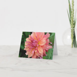 Cartes Pour Fêtes Annuelles Peach Garden Dahlia