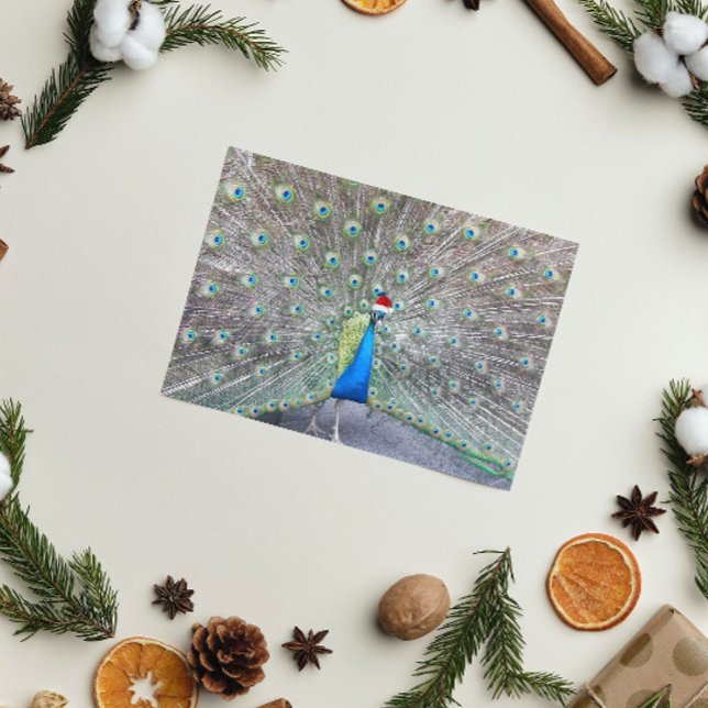 Cartes Pour Fêtes Annuelles Peacock Portant Red Père Noël Casquette drôle (In Situ)