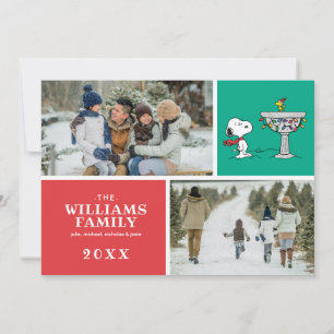 Cartes Pour Fêtes Annuelles Peanuts   Snoopy & Woodstock bain d'oiseaux gelé