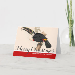 Cartes Pour Fêtes Annuelles Peinture animalière d'antiquités Toucans