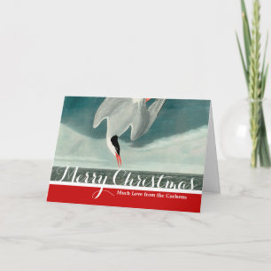 Cartes Pour Fêtes Annuelles Peinture de faune d'oiseau de sterne arctique Audu