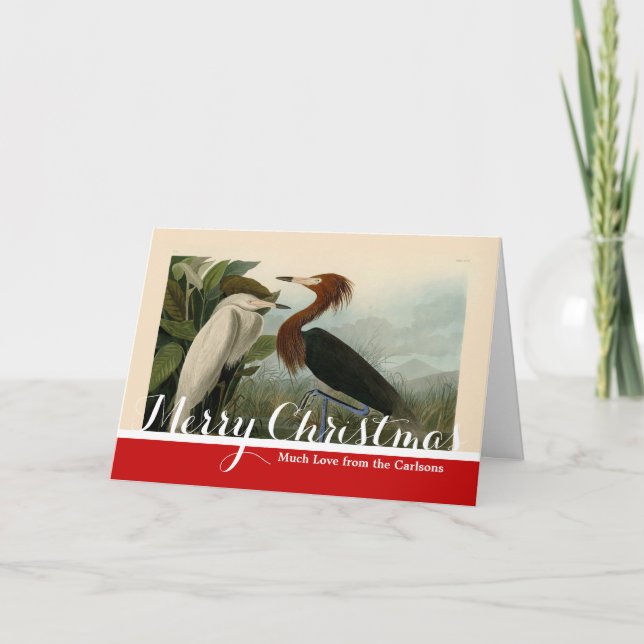 Cartes Pour Fêtes Annuelles Peinture de la faune d'Audubon Heron violet (Devant)