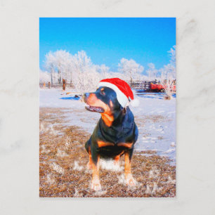 Cartes Pour Fêtes Annuelles Peinture de Noël de chien Rottweiler