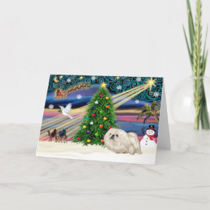 Cartes Pour Fêtes Annuelles Pekingese magique de Noël (blanc)
