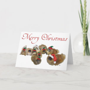 Cartes Pour Fêtes Annuelles Pékinois célèbrent Noël
