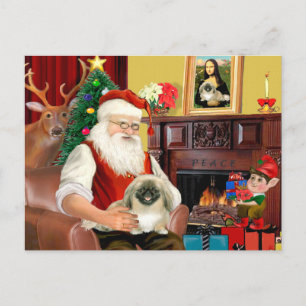 Cartes Pour Fêtes Annuelles Pékinois du Père Noël