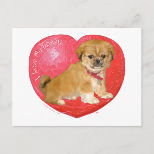Cartes Pour Fêtes Annuelles Pékinois / mélange de Shih Tzu pour la Saint-Valen