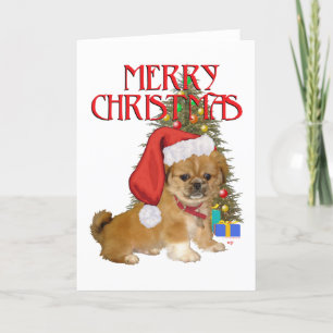 Cartes Pour Fêtes Annuelles Pékinois Noël Puppy