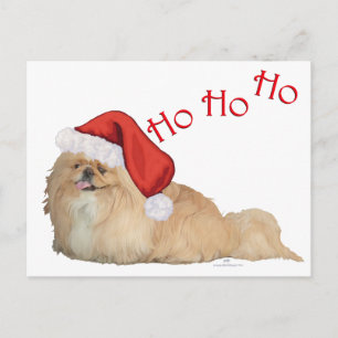 Cartes Pour Fêtes Annuelles Pékinois Père Noël