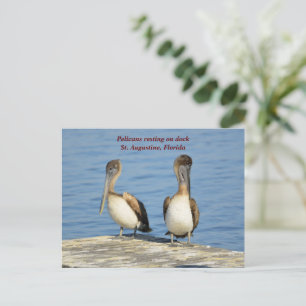 Cartes Pour Fêtes Annuelles Pélicans à quai