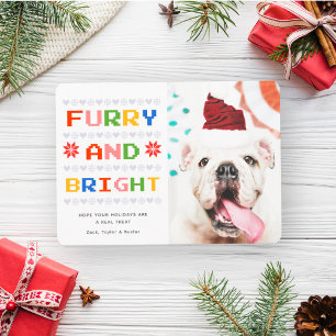 Cartes Pour Fêtes Annuelles Pelucheux et Lumineux Photo de chien de compagni