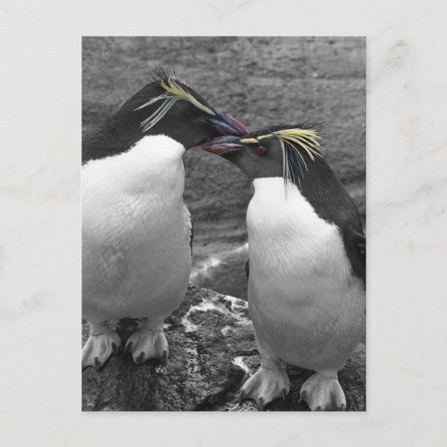 Cartes Pour Fêtes Annuelles Penguin Colour Splash (Devant)