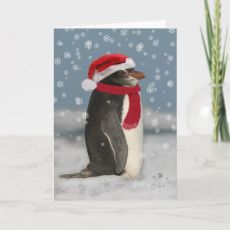Cartes Pour Fêtes Annuelles Penguin de Christmas