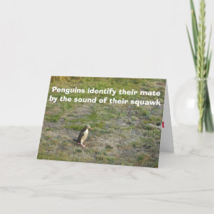 Cartes Pour Fêtes Annuelles Penguin Valentine