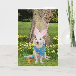 Cartes Pour Fêtes Annuelles Pensée à vous chez Pâques