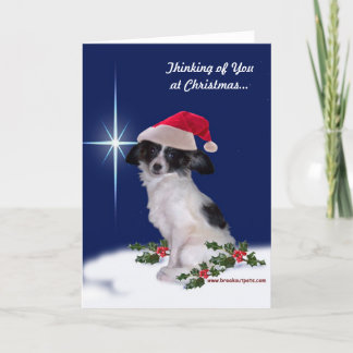 Cartes Pour Fêtes Annuelles "Penser à vous à Noël" Papillon Card