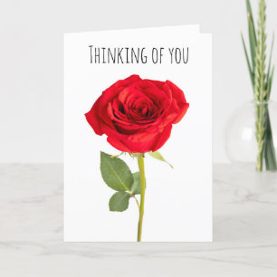 Cartes Pour Fêtes Annuelles Penser à vous belle rose rouge