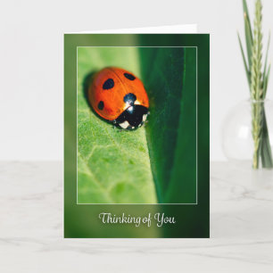 Cartes Pour Fêtes Annuelles Penser à vous pour n'importe qui Lady Bug photo