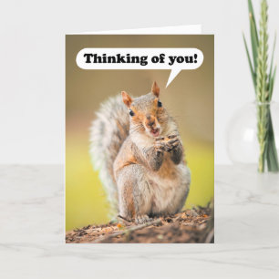 Cartes Pour Fêtes Annuelles Pensez à vous au camp d'été Talking Squirrel
