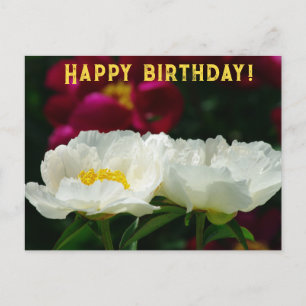Cartes Pour Fêtes Annuelles Peony/Flower Magic/Fleur blanche/Joyeux anniversai
