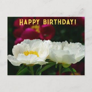 Cartes Pour Fêtes Annuelles Peony/Flower Magic/Fleur blanche/Joyeux anniversai
