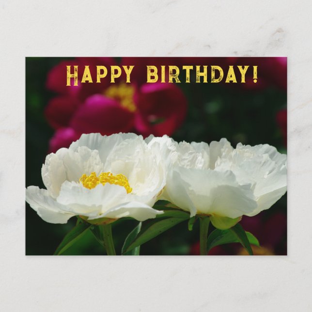 Cartes Pour Fêtes Annuelles Peony/Flower Magic/Fleur blanche/Joyeux anniversai (Devant)