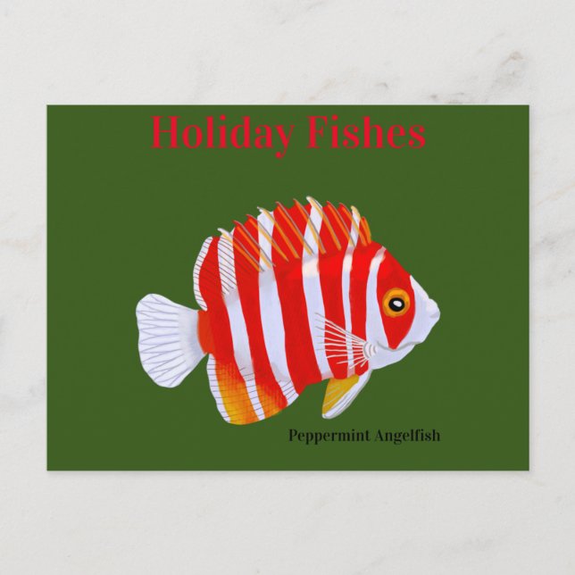 Cartes Pour Fêtes Annuelles Peppermint Angelfish (Devant)