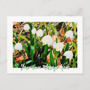 Cartes Pour Fêtes Annuelles Perce-neige dans les Alpes françaises - Personnali