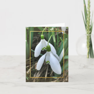 Cartes Pour Fêtes Annuelles Perce-neiges avec la frontière d'or