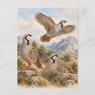 Cartes Pour Fêtes Annuelles Perdrix Chukar Art