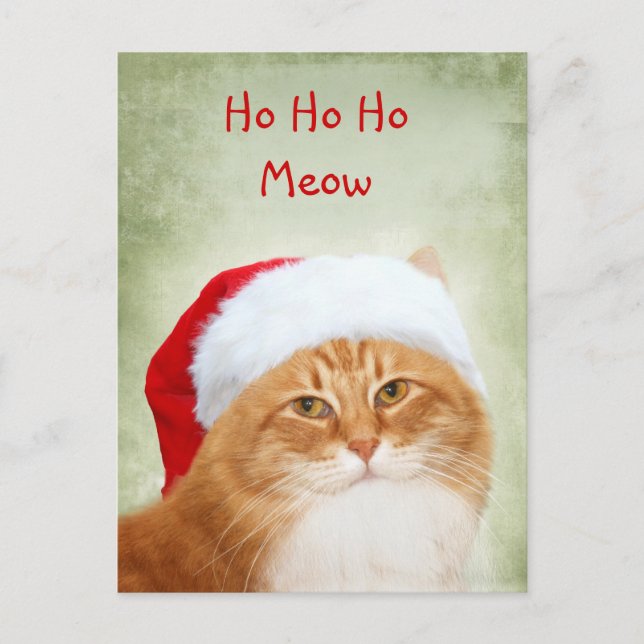 Cartes Pour Fêtes Annuelles Père Noël (Devant)