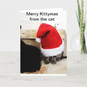 Cartes Pour Fêtes Annuelles Père Noël 4 pattes