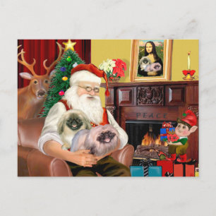 Cartes Pour Fêtes Annuelles Père Noël à la maison - Pékinois (R) - Père Noël