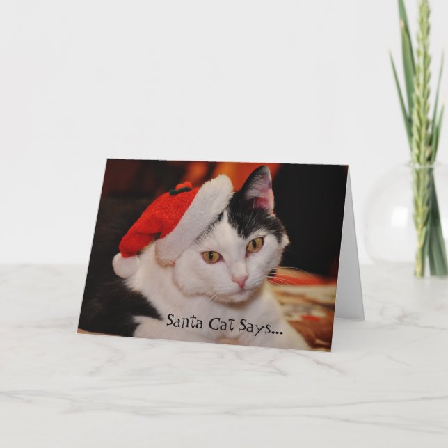 Cartes Pour Fêtes Annuelles Père Noël Amoureux des chats Fun Christmas Card (Devant)