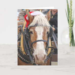 Cartes Pour Fêtes Annuelles Père Noël Belge