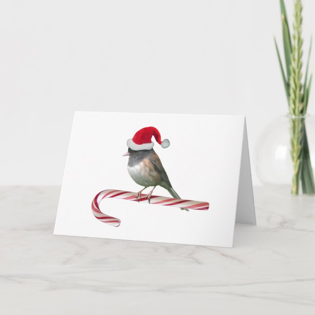 Cartes Pour Fêtes Annuelles Père Noël Bird Christmas Card (Devant)