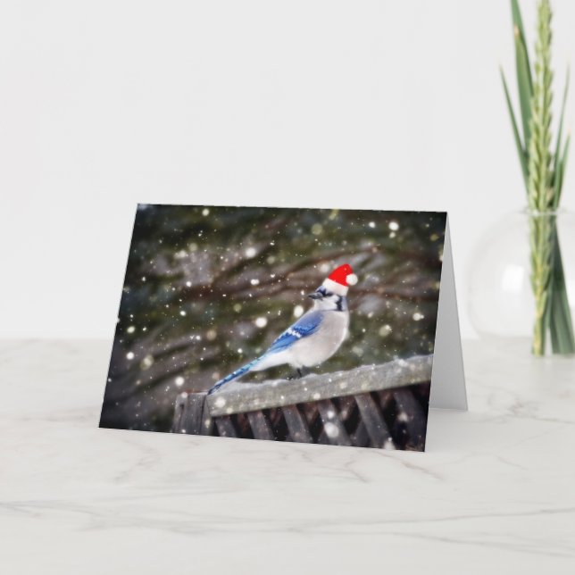Cartes Pour Fêtes Annuelles Père Noël Blue Jay (Devant)