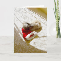 Père Noël capturé
