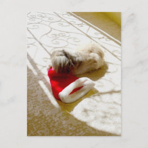 Cartes Pour Fêtes Annuelles Père Noël capturé