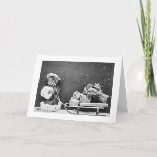 Cartes Pour Fêtes Annuelles Père Noël Cat Still Image (1914) Christmas