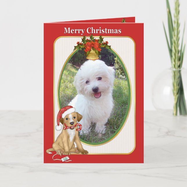 Cartes Pour Fêtes Annuelles Père Noël Chien Animaux de Compagnie (Devant)