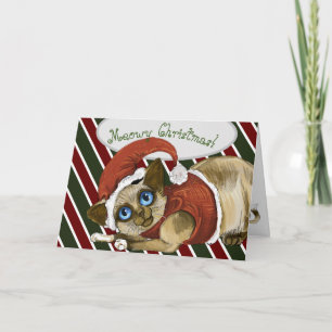 Cartes Pour Fêtes Annuelles Père Noël Christmas Kitty Holiday Card