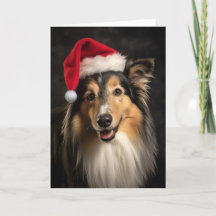 Père Noël Collie