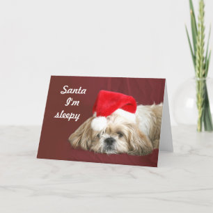 Cartes Pour Fêtes Annuelles Père Noël de attente