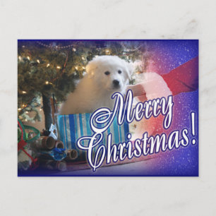 Cartes Pour Fêtes Annuelles père Noël DE GRANDS PYRÉNÉES CHRISTMAS PUPPER CADE